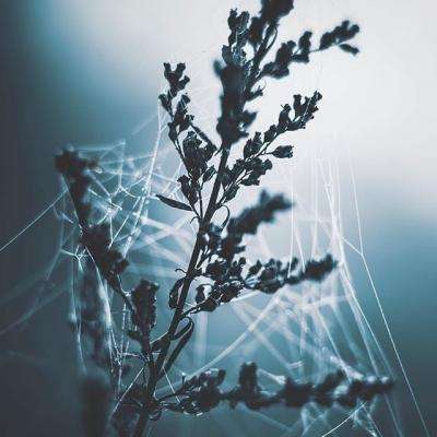 爱游戏全站APP下载下载手机版