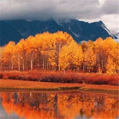 爱游戏全站APP下载下载手机版